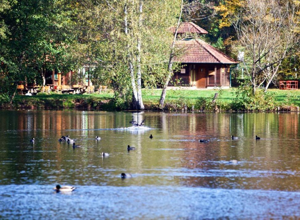 Seen- Und Felsenland Ludwigswinkel エクステリア 写真